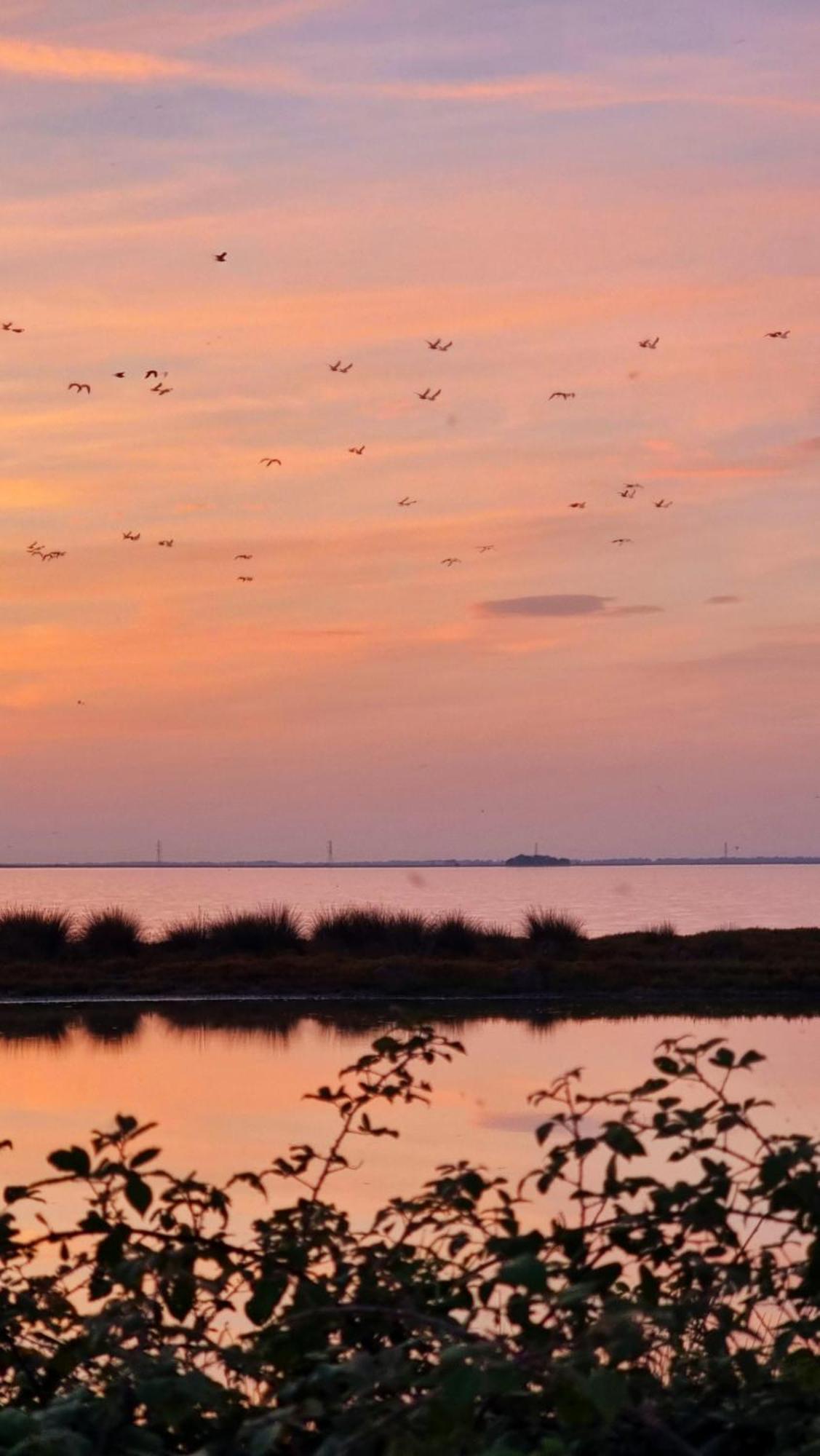 Al Ponticello Bed & Breakfast Comacchio Bagian luar foto