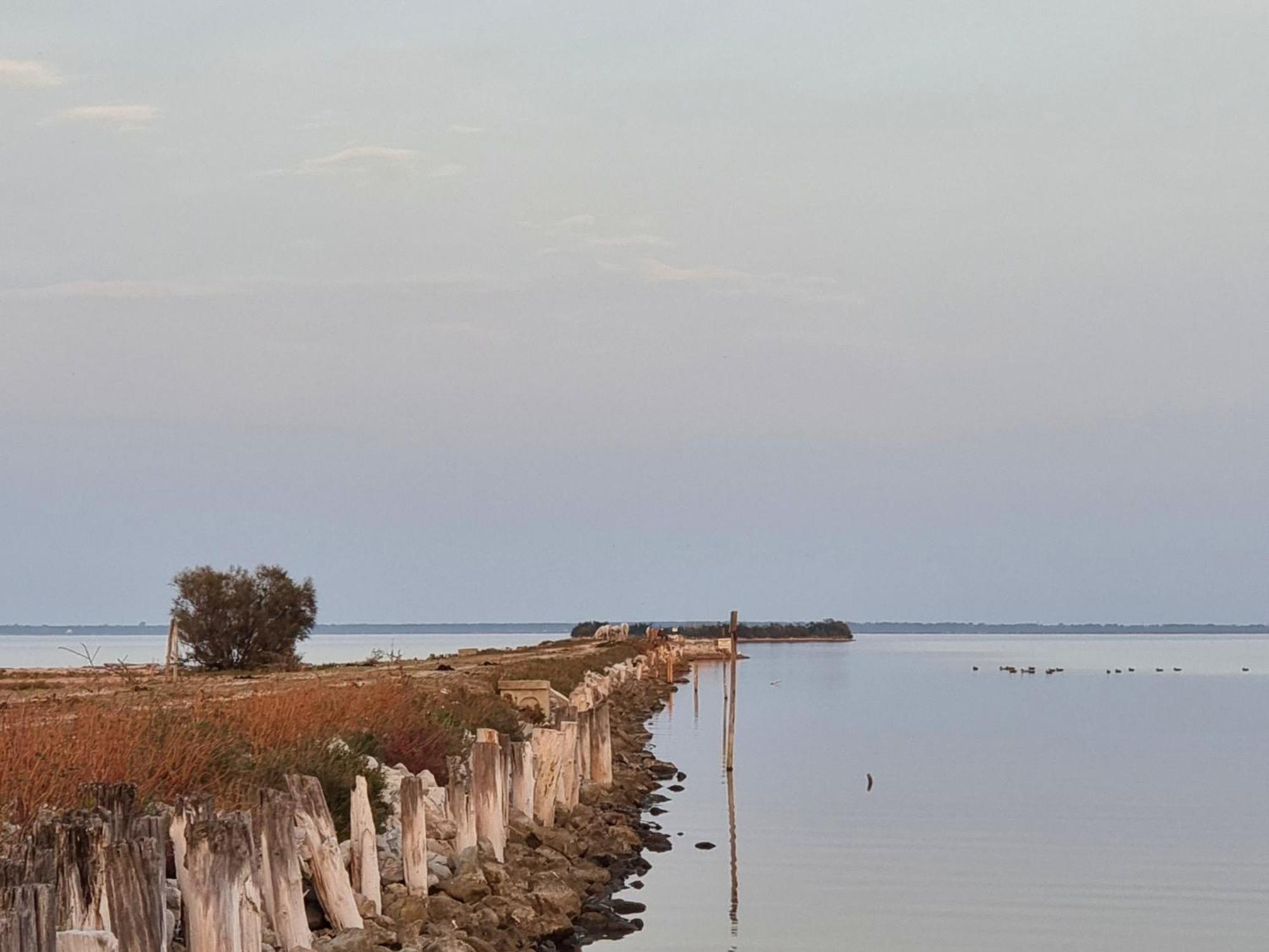 Al Ponticello Bed & Breakfast Comacchio Bagian luar foto